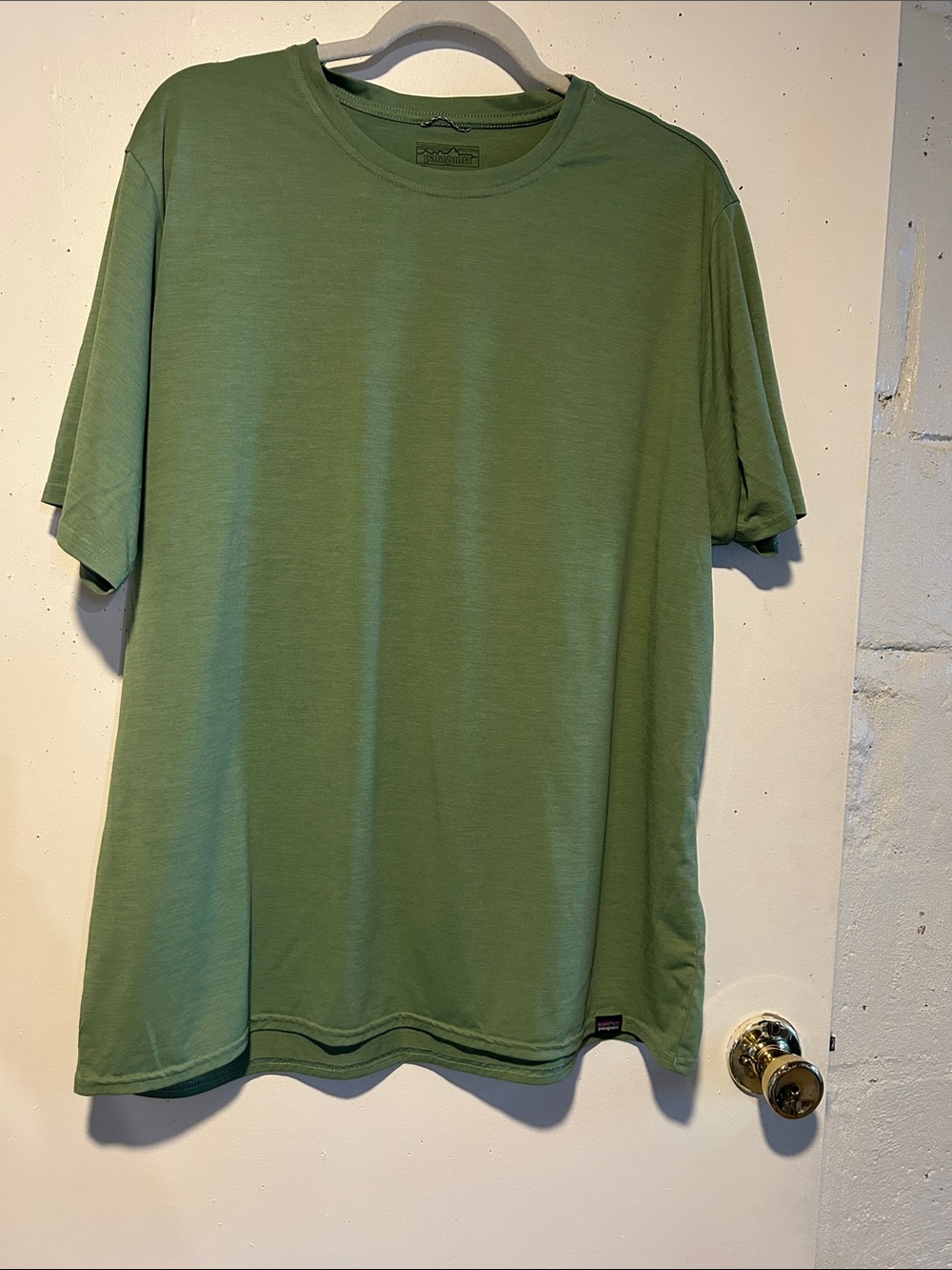 Patagonia Men's Short Sleeve Crew Tee in Sage Green